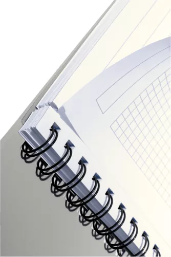 Spirálfüzet rendszerező Leitz Executive, A/4, kockás, PP