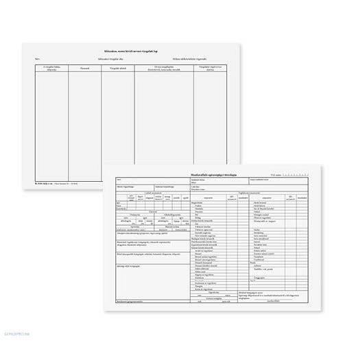 Munkavállaló egészségügyi törzslapja szabadlap 290 x 195 mm B.3161-4/új