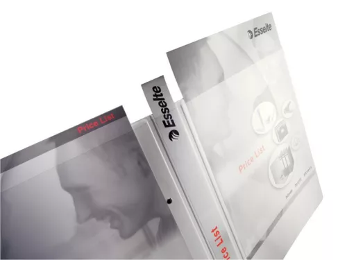 Gyűrűskönyv A/4 4 gyűrűs 3,8cm ESSELTE MAXI panorámás fehér