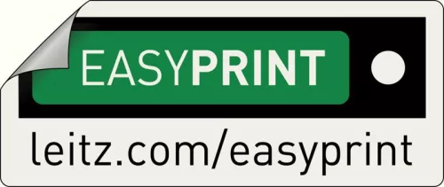 Gyűrűskönyv A/4 4 gyűrűs 3,8cm ESSELTE MAXI panorámás fehér