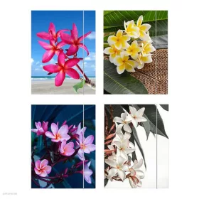 Iratgyűjtő gumis A/4 Flower