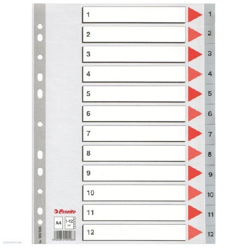 Regiszter ESSELTE A/4 1-12 műanyag