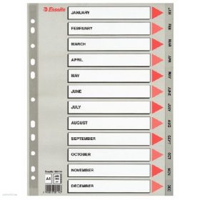 Regiszter ESSELTE A/4 jan-dec. műanyag