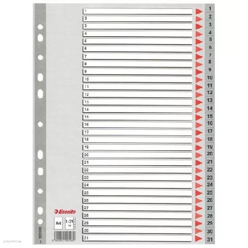 Regiszter ESSELTE A/4 1-31 műanyag