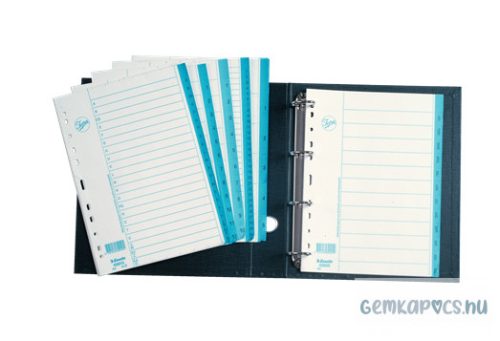 Regiszter ESSELTE A/4 1-10 papír