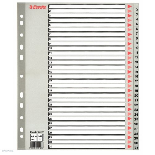 Regiszter ESSELTE A/4 1-31 műanyag MAXI