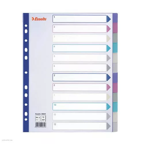 Elválasztólap ESSELTE A/4 műanyag 20rész