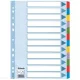 Elválasztólap ESSELTE A/4 karton 12rész Mylar