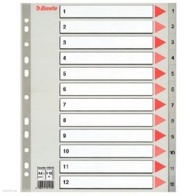 Regiszter ESSELTE A/4 1-12 műanyag Maxi
