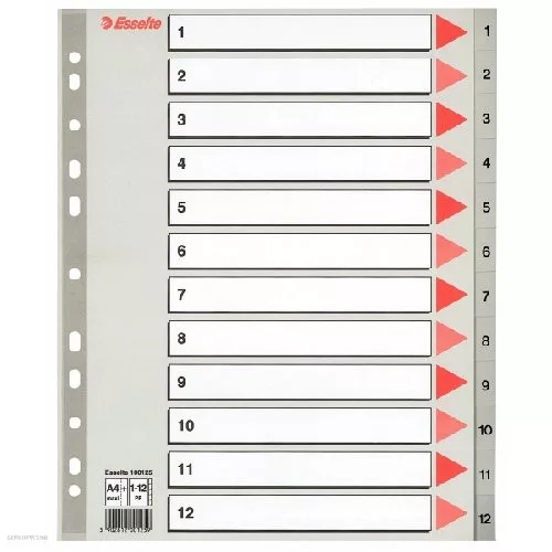 Regiszter ESSELTE A/4 1-12 műanyag Maxi