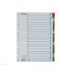 Regiszter ESSELTE A/4 A-Z karton MYLAR