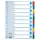 Regiszter ESSELTE A/4 1-10 karton MYLAR