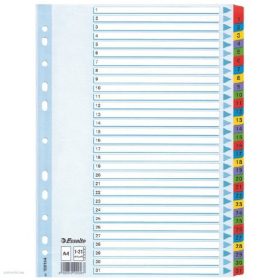Regiszter ESSELTE A/4 1-31 karton MYLAR