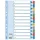 Regiszter ESSELTE A/4 1-12 karton MYLAR
