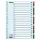 Regiszter ESSELTE A/4 karton 1-20 reg. Mylar 100163