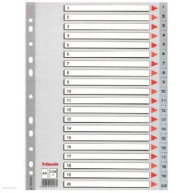 Regiszter ESSELTE A/4 1-20 műanyag