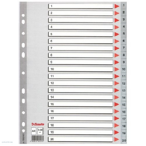 Regiszter ESSELTE A/4 1-20 műanyag