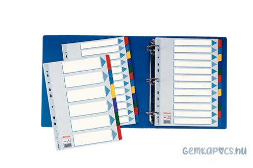 Elválasztólap ESSELTE A/4 karton STANDARD 6rész