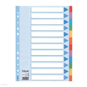   Elválasztólap Regiszter ESSELTE A/4 karton STANDARD 12részes