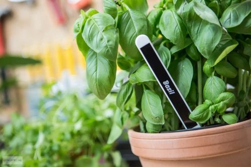 Betűnyomó kazetta 9mm Brother TZe325 fekete-fehér