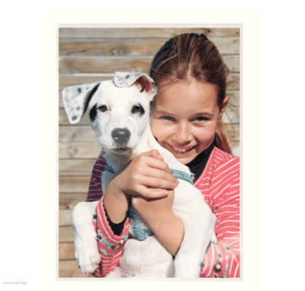 Lamináló fólia A/3 UDT 80 mikron