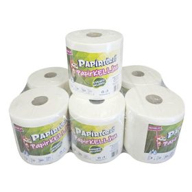 Kéztörlő 2 rétegű, 100% cellulóz, 70 m, 350 lapos