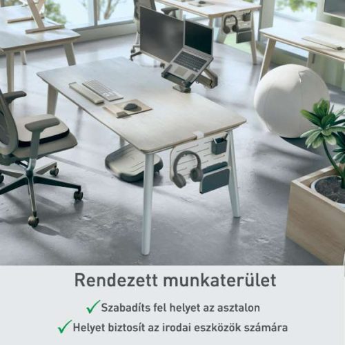 Asztali rendező Leitz Ergo, kisméretű, függőleges