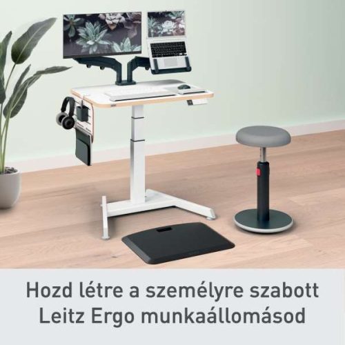 Asztali rendező Leitz Ergo, kisméretű, függőleges