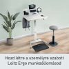 Asztali rendszerező Leitz Ergo, kisméretű, függőleges, laptoptartóval
