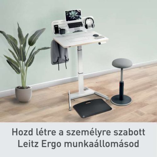 Asztali rendszerező Leitz Ergo, kisméretű, függőleges, laptoptartóval